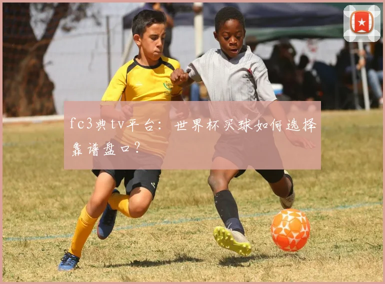 fc3典tv平台：世界杯买球如何选择靠谱盘口？