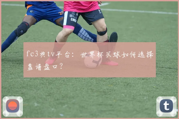 fc3典tv平台:世界杯买球如何选择靠谱盘口?