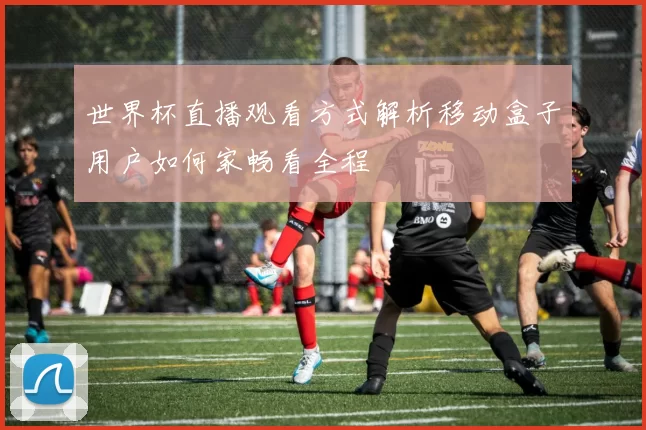 世界杯直播观看方式解析移动盒子用户如何家畅看全程