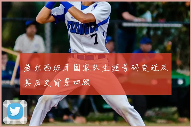 劳尔西班牙国家队生涯号码变迁及其历史背景回顾