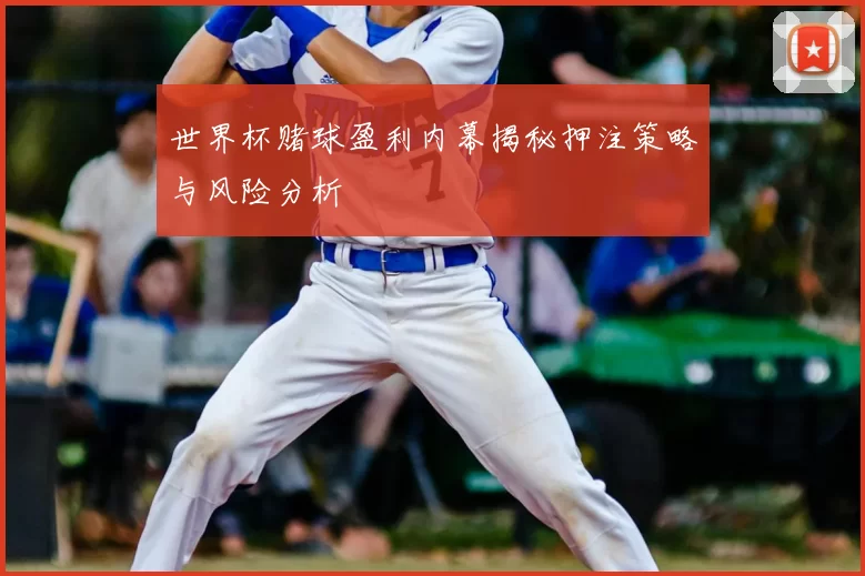 世界杯赌球盈利内幕揭秘押注策略与风险分析