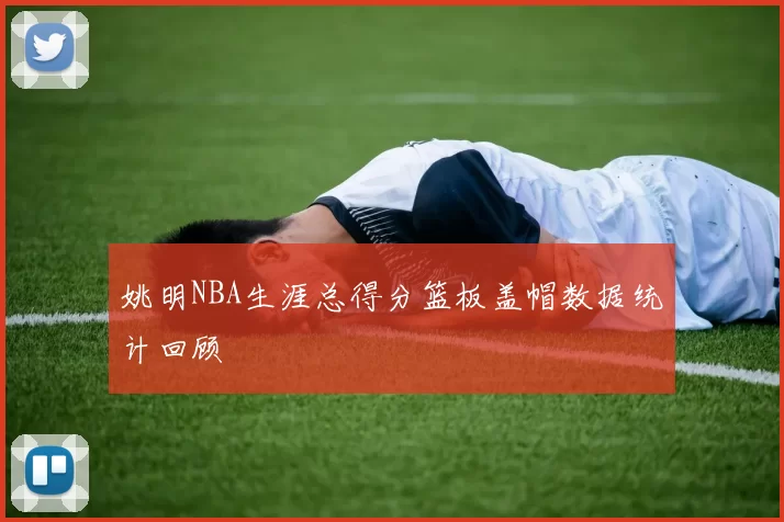 姚明NBA生涯总得分篮板盖帽数据统计回顾