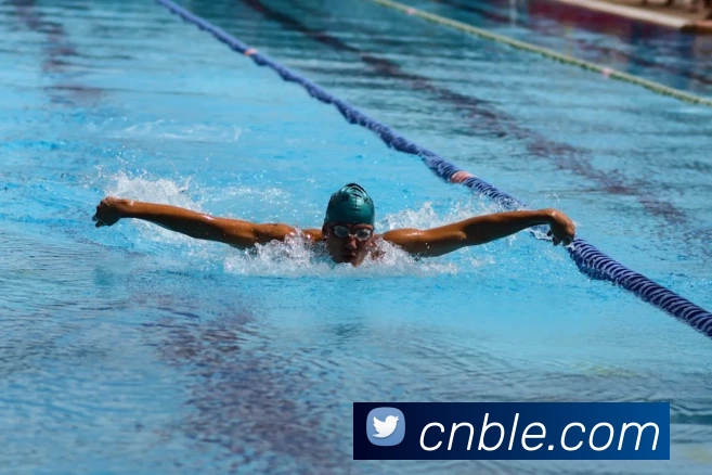 星空手机在线登录发展历程